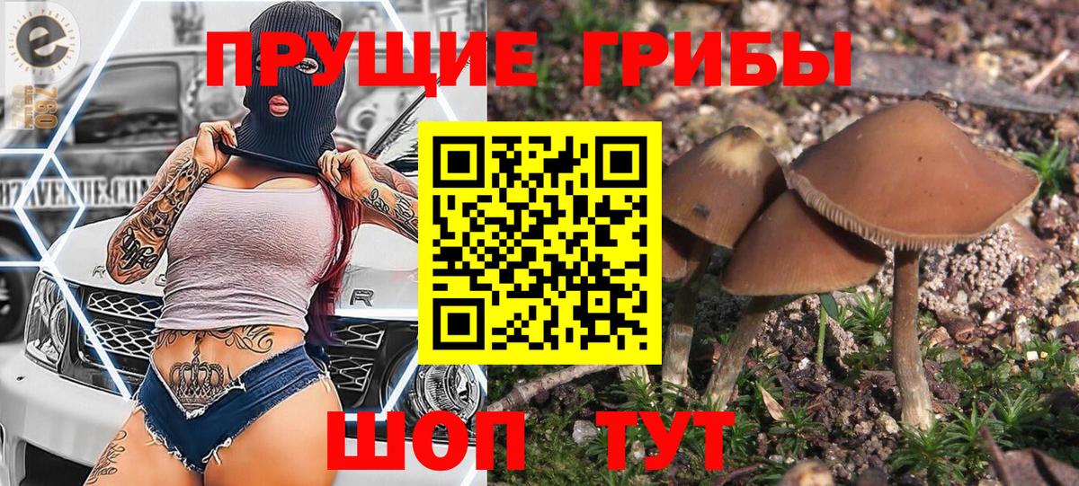 Галлюциногенные грибы Cubensis  Вход с VPN  где продают наркотики  Кропоткин 